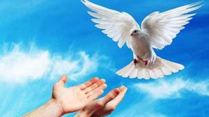 الدين والعقائد المنظمة