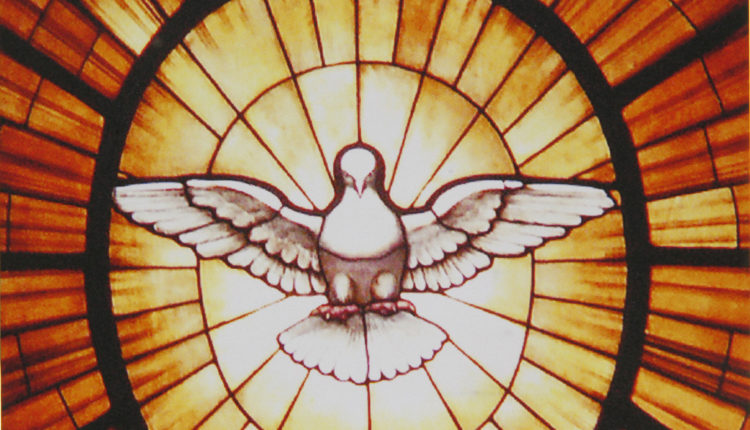 خلاصة تعاليم سلفر برش