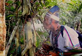 نباتات ترفع مستوى الوعى